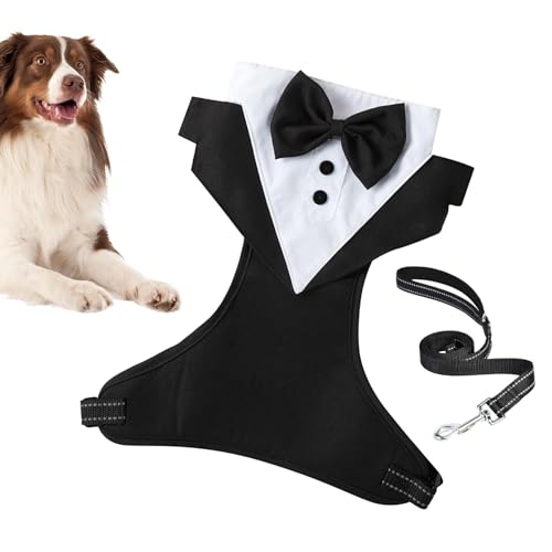Lnhgh Hunde-für kleine Hunde, Hunde-Hochzeitsoutfit - Hundeprinz-Hochzeits-Fliege-Shirt mit Zugseil | Formelle Hundekleidung, Hemdkostüm, Hunde-für Hochzeit, Party von Lnhgh