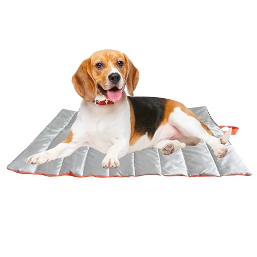 Lnhgh Outdoor Hundebett, Faltbare Unterlage Für Hunde, Waschbare Welpenmatratze Mit Tragergriff Für Camping, Auto, Garten, Zuhause Und Picknick Lnhgh Outdoor Hundebett, Faltbare Unterlage Für Hunde, Waschbare Welpenmatratze Mit Tragergriff Für Camping, Auto, Garten, Zuhause Und Picknick von Lnhgh