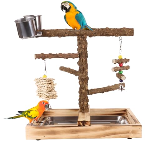 Lnhgh -Spielständer - Spielplatz Mit Futternäpfen,Kausicheres Spielgerüst Für Sittiche Wellensittiche Kanarienvögel Unzertrennliche Und Finken Lnhgh -Spielständer - Spielplatz Mit Futternäpfen,Kausicheres Spielgerüst Für Sittiche Wellensittiche Kanarienvögel Unzertrennliche Und Finken von Lnhgh