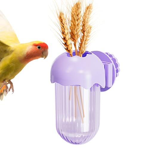 Lnhgh Vogelschalen Für Käfig - Futterbecher - Trinknapf Für Kleintiere Wie Wellensittiche, Nymphensittiche & Zierfinken Lnhgh Vogelschalen Für Käfig - Futterbecher - Trinknapf Für Kleintiere Wie Wellensittiche, Nymphensittiche & Zierfinken von Lnhgh