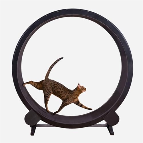 Großes Laufrad für Katzen, 41,5 Zoll großes Katzenlaufrad aus massivem Holz mit Schloss und minimiertem Spaltdesign, Laufband für Katzen für Hauskatzen, für EIN längeres Leben der Katze Großes Laufrad für Katzen, 41,5 Zoll großes Katzenlaufrad aus massivem Holz mit Schloss und minimiertem Spaltdesign, Laufband für Katzen für Hauskatzen, für EIN längeres Leben der Katze von Lnlscle