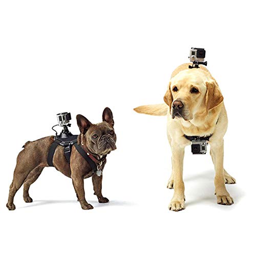 Hundeschnappgurt Verstellbarer Brustgurt für Actionkamera, Kameragehurtgurt mit J-Haken für Actionkameras von Lnlscle