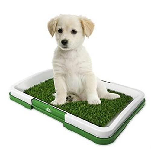Indoor- und Outdoor-Welpenhund PET-Töpfchentraining PIPI PAD MAT Tablett Grashaustoilette mit Tablett 18,3 "x 13,5" von Lnlscle
