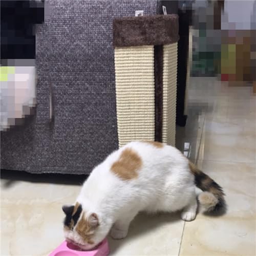 Katzenkratzer, Katzenwand-Ecken-Klauenschärfer, Katzenkratzpad, Kätzchen-Kratzbrett für Möbelschutz, Katzen im Innenbereich, Unterhaltung Katzenkratzer, Katzenwand-Ecken-Klauenschärfer, Katzenkratzpad, Kätzchen-Kratzbrett für Möbelschutz, Katzen im Innenbereich, Unterhaltung von Lnlscle