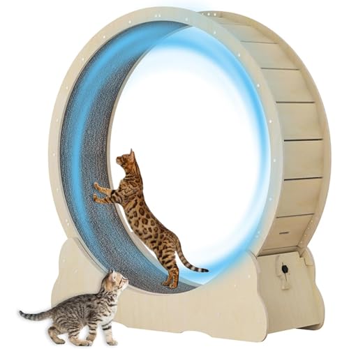 Leises Laufrad für Katzen, 39.4'' Massivholz-Katzenlaufband mit Teppichboden und minimiertem Spaltdesign, Katzenlaufrad für die meisten Katzen, Gewichtsverlust und Gesundheit von Katzen Leises Laufrad für Katzen, 39.4'' Massivholz-Katzenlaufband mit Teppichboden und minimiertem Spaltdesign, Katzenlaufrad für die meisten Katzen, Gewichtsverlust und Gesundheit von Katzen von Lnlscle