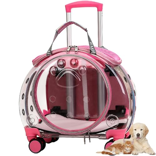 Tragbarer Tiertransporter Auf Rädern für Katzen Und Hunde, Reisetasche Mit Faltbarem Design, Fasst Bis Zu 5 Kg, Atmungsaktiver Rollender Tiertransporter, Ausziehbarer Tragegriff Tragbarer Tiertransporter Auf Rädern für Katzen Und Hunde, Reisetasche Mit Faltbarem Design, Fasst Bis Zu 5 Kg, Atmungsaktiver Rollender Tiertransporter, Ausziehbarer Tragegriff von Lnlscle