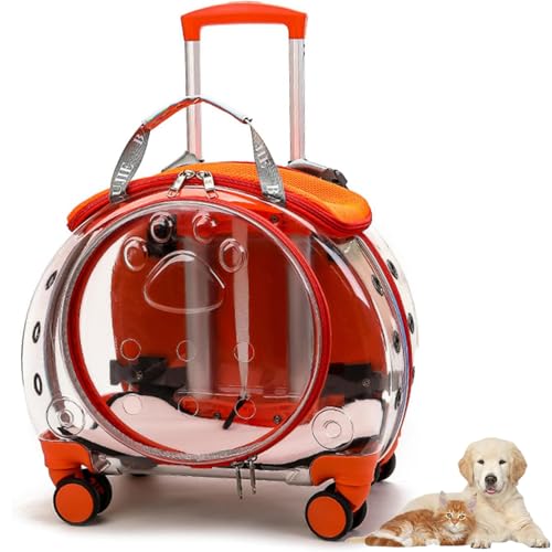 Tragbarer Tiertransporter Auf Rädern für Katzen Und Hunde, Reisetasche Mit Faltbarem Design, Fasst Bis Zu 5 Kg, Atmungsaktiver Rollender Tiertransporter, Ausziehbarer Tragegriff Tragbarer Tiertransporter Auf Rädern für Katzen Und Hunde, Reisetasche Mit Faltbarem Design, Fasst Bis Zu 5 Kg, Atmungsaktiver Rollender Tiertransporter, Ausziehbarer Tragegriff von Lnlscle