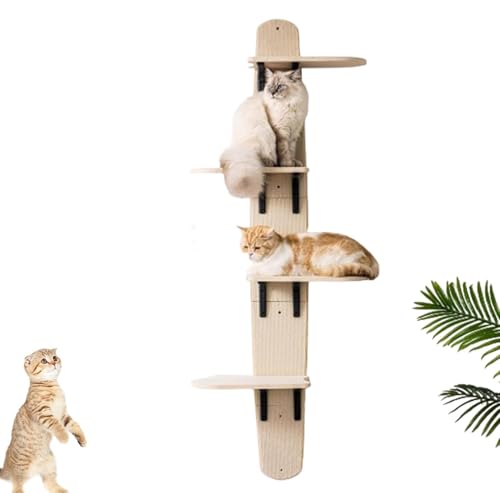 Über der Tür Kratzbaum, 4-Ebenen hängende Katze Regal mit Kratzbrett, über den Türen Katzen Barsch & Climber, platzsparende Wand montierte Climber für Indoor-Katzen (Holz) von Lnlscle