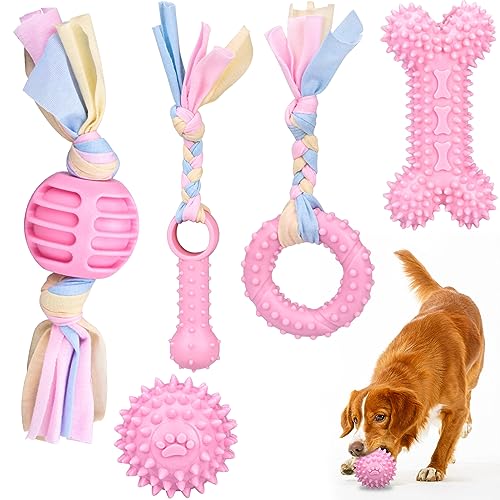 LoQuick 5 Stück Welpen Spielzeug für Hunde, Welpenzahnspielzeug, Welpenspielzeug mit interaktiven Baumwollseilen zum Zahnen Kleiner Hunde, Gummi Welpenkauspielzeug, Kauen Hundespielzeug Set LoQuick 5 Stück Welpen Spielzeug für Hunde, Welpenzahnspielzeug, Welpenspielzeug mit interaktiven Baumwollseilen zum Zahnen Kleiner Hunde, Gummi Welpenkauspielzeug, Kauen Hundespielzeug Set von LoQuick