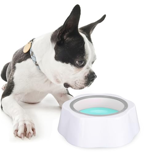 Futternapf für langsames Trinken, auslaufsicher, Kunststoff, staubdicht, schwimmend, Wassernapf für Hunde und Katzen, ideale Trinklösung, Grün Futternapf für langsames Trinken, auslaufsicher, Kunststoff, staubdicht, schwimmend, Wassernapf für Hunde und Katzen, ideale Trinklösung, Grün von Loboo Idea
