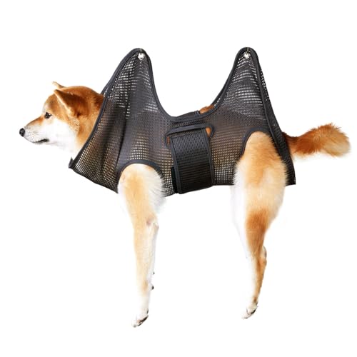 Loboo Idea Hundepflege-Hängematte, verstellbar, multifunktional, Haustierpflege-Geschirr, Schlinge, Hunde und Katzen, bequem, verschleißfest, sicher, Polyester, Größe M Loboo Idea Hundepflege-Hängematte, verstellbar, multifunktional, Haustierpflege-Geschirr, Schlinge, Hunde und Katzen, bequem, verschleißfest, sicher, Polyester, Größe M von Loboo Idea
