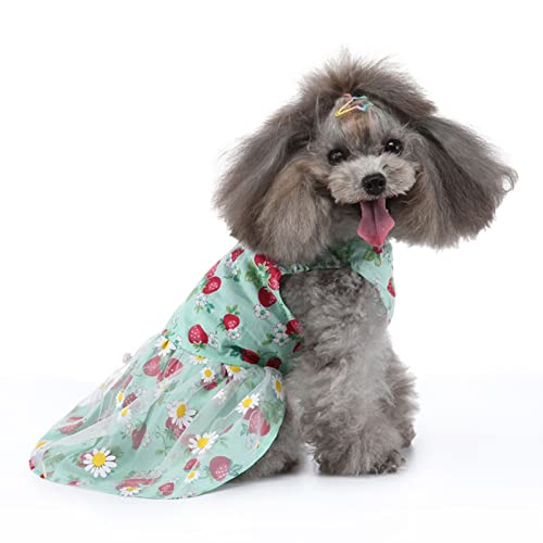 LOCADENCE Hundekleider, Atmungsaktiv, Erdbeer Blumenmuster, Haustier Hundekleidung, Welpen Hunde Prinzessinnen Kleider für Kleine, Mittelgroße Hunde und Katzen, Alltagskleidung, Übernachtungen (XS) LOCADENCE Hundekleider, Atmungsaktiv, Erdbeer Blumenmuster, Haustier Hundekleidung, Welpen Hunde Prinzessinnen Kleider für Kleine, Mittelgroße Hunde und Katzen, Alltagskleidung, Übernachtungen (XS) von Locadence