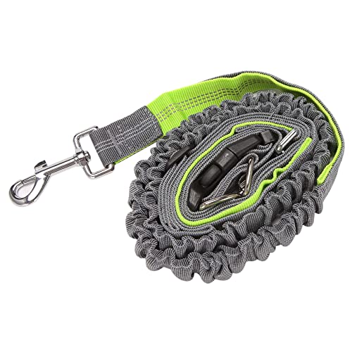 FreihäNdige Hunde Leine, Einziehbare Hunde Leine, Elastischer Bungee Hunde GüRtel, Jogging Leine mit HüFt Gurt GrüN FreihäNdige Hunde Leine, Einziehbare Hunde Leine, Elastischer Bungee Hunde GüRtel, Jogging Leine mit HüFt Gurt GrüN von Lodokdre