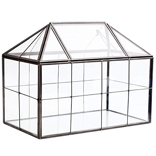 Lodokdre Glas Terrarium Handgemachtes Haus Form Geometrisches Glas Behälter mit Schwenkdeckel für Sukkulenten, Kakteen, Farnen, Luftpflanzen von Lodokdre