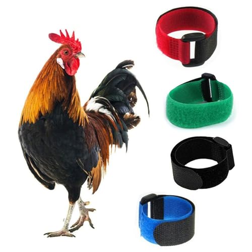 Lodoot 2 x Krähenhalsband, Huhnhalsband, geräuscharm, Anti-Haken, Halsband, Halsband für Hühner von Krähen, Anti-Hahn-Krähen ohne Haken von Lodoot