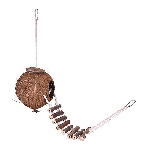 Natürliche Kokosnuss für Muschel Vogelhaus Klettern Treppe Hängende Vögel Nest Bruthöhle für Indoor Outdoor Garten Baum Ne Vogelbetten Sittiche von Lodoot