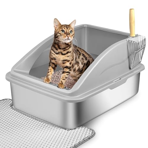 Lohofrnny Edelstahl Katzenklo Groß, Geschlossenes Design mit Hohen Wandkanten, Auslaufsicher, Geruchsneutral, Katzenklo Edelstahl mit Katzenstreuschaufel und Matte (Silbergrau, 60×40×31cm) von Lohofrnny