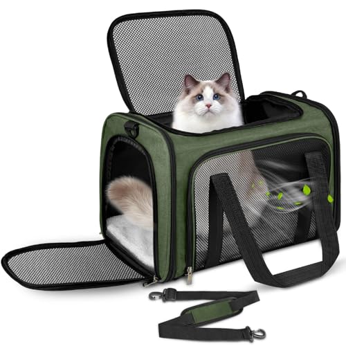 Lohofrnny Transporttasche Katze, Transportbox für Katze Hund, Katzentransporttasche,Faltbare Haustier Tragetaschen mit Schultergurt, (Grün, 50 x 34 x 34cm) von Lohofrnny