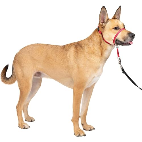 Dog Head Collar, Maulkorb für Hunde, No Pull Training Tool for Dogs on Walks, Antizug-no Pull Geschirr garantiert, für große, mittlere und kleine Hunde geeignet (L,Red) von LoKori