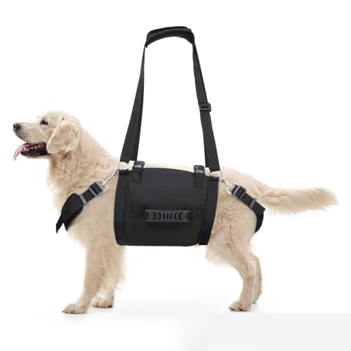 Hundegeschirr, Hilft beim Anheben der Hinterbeine, Dog Lift Harness, Hund Lift Harness, für ältere, verletzte, behinderte Hunde zum Treppensteigen, Helfen Sie Hunden Mit Schwachen Hinterbeinen (XL) von LoKori