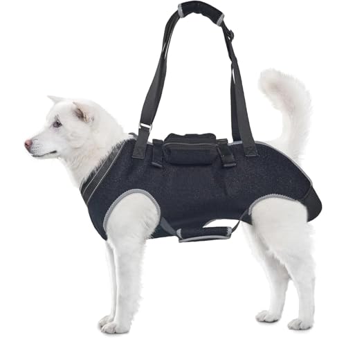 LoKori Hundegeschirr, Hunde Tragehilfe, Hund Rehabilitation Tragegurt, Hundetragegurt für Gelenkverletzungen älterer Hunde, für Verletzte Behinderte Kleine, Mittlere und Große Hunde (M) von LoKori