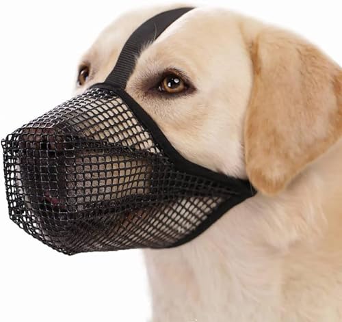 LoKori Hundemaulkorb, Maulkorb für Hunde, Maulkorb für Hunde Abgerundete Mesh, Für Kleine Mittelgroße und Große Hunde Verstellbare, Verhindert Das Beißen, Kauen Und Bellen (M,Black) von LoKori