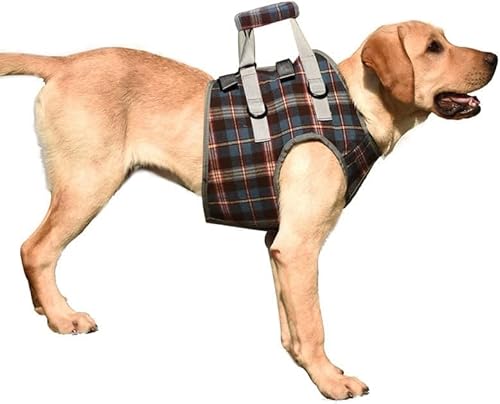 Hundestützgeschirr für die Hinterbeine, Hunde Tragehilfe vorne Hund Unterstützung Harness, weiche Hundestützschlaufe für verletzte behinderte kleine mittlere und große Hunde (L,Chest Blue) von LoKori