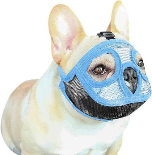 LoKori Kurze Schnauzen Hund, Maulkorb für Hunde mit kurzer Schnauze, Atmungsaktiver Maulkorb aus Netzstoff, um Beißen und Bellen zu verhindern, Für Kleine Mittelgroße und Große Hunde (M,Blue) von LoKori