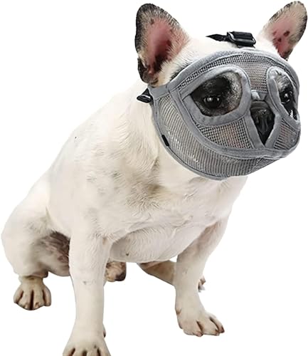 LoKori Kurze Schnauzen Hund, Maulkorb für Hunde mit kurzer Schnauze, Atmungsaktiver Maulkorb aus Netzstoff, um Beißen und Bellen zu verhindern, Für Kleine Mittelgroße und Große Hunde (XS,Gray) von LoKori