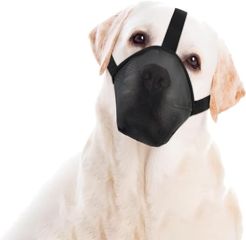 LoKori Maulkorb Für Hunde, Maulkorb für Hunde Weiche Verstellbare Mesh, Maulkorb aus Nylon für kleine mittelgroße und große Hunde, Hunde Maulkorb mit Abgerundetem Mesh (M,Black) von LoKori