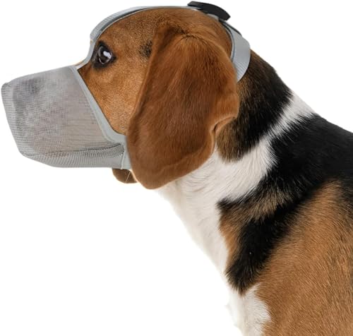 LoKori Maulkorb Für Hunde, Maulkorb für Hunde Weiche Verstellbare Mesh, Maulkorb aus Nylon für kleine mittelgroße und große Hunde, Hunde Maulkorb mit Abgerundetem Mesh (XS,Grey) von LoKori