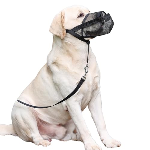Maulkorb für Hunde, Dog Head Collar, Atmungsaktive Hund Maulkorb Mesh, Maulkorb aus Nylon, Maulkörbe aus verstellbarem Netzstoff, kleine bis große Hunde, verhindert Beißen, Kauen und Bellen (XXL) von LoKori