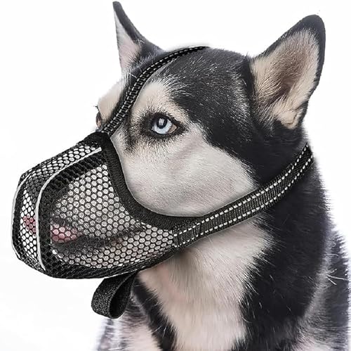 LoKori Maulkorb für Hunde mit abgerundetem Mesh, Atmungsaktiver Maulkorb für Hunde, Hundemaulkorb, Für Kleine Mittelgroße und Große Hunde, für Verhindert Beißen Kauen Bellen (L) von LoKori