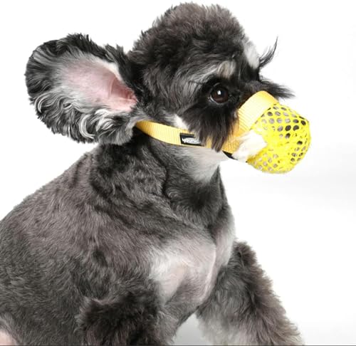 LoKori Mesh Hundemaulkorb, atmungsaktiver Maulkorb, Verstellbar Weicher Korbmaulkorb für Kleine Mittelgroße Große Hunde, aus Mesh gegen Beißen, Bellen und Kauen (XS,Blue) von LoKori