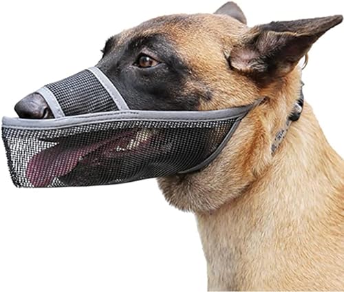 LoKori Nylon-Maulkorb Für Hunde, Maulkorb Hund, für große, mittelgroße und kleine Hunde, Maulkorb für Hunde Abgerundete Mesh, Verhindert Das Beißen, Kauen Und Bellen (S,Grey) von LoKori