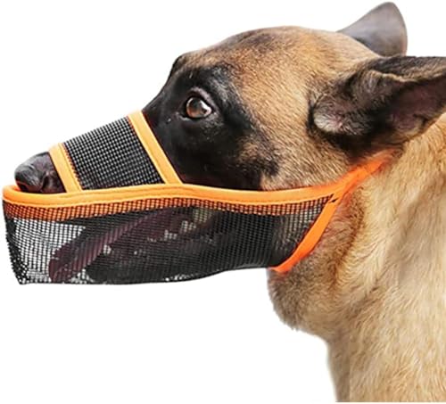 LoKori Nylon-Maulkorb Für Hunde, Maulkorb Hund, für große, mittelgroße und kleine Hunde, Maulkorb für Hunde Abgerundete Mesh, Verhindert Das Beißen, Kauen Und Bellen (S,Yellow) von LoKori