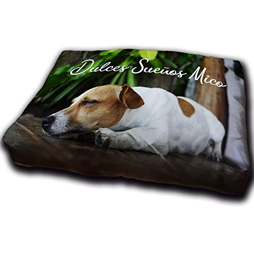 LolaPix Hundebett. Hundesofa. Personalisiert mit Name/Foto. Bett für große/Mittlere/Kleine Hunde. Waschbare Hundematratze und Abnehmbarer Bezug. MEDIANA von LolaPix