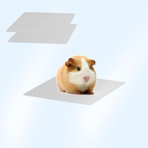 Kühlmatte für kleine Haustiere, bissfestes Aluminium-Kühlkissen für Kaninchen, Hamster, Meerschweinchen, Sommer-Eisbett, Kleintier-Kühlmatte, sicheres, leichtes Design mit glatten Kanten (12 x 8 cm, 2 von Lollanda