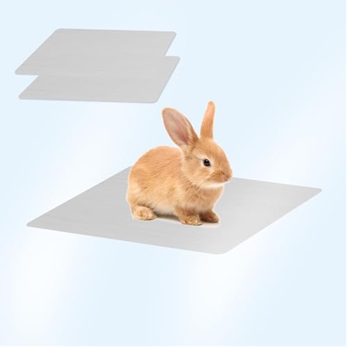 Kühlmatte für kleine Haustiere, bissfestes Aluminium-Kühlkissen für Kaninchen, Hamster, Meerschweinchen, Sommer-Eisbett, Kleintier-Kühlmatte, sicheres, leichtes Design mit glatten Kanten (30 x 20 cm Kühlmatte für kleine Haustiere, bissfestes Aluminium-Kühlkissen für Kaninchen, Hamster, Meerschweinchen, Sommer-Eisbett, Kleintier-Kühlmatte, sicheres, leichtes Design mit glatten Kanten (30 x 20 cm von Lollanda