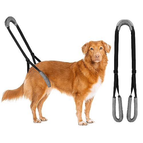 Lollanda Gehhilfe für Hunde Hinten, Tragehilfe für Hunde, Hundegeschirr für Die Hinterbeine, Gehhilfe Hunde zum Unterstützung für Kranke Hund, Älterer Hund, Fördert die Mobilität des Hundes (Schwarz) Lollanda Gehhilfe für Hunde Hinten, Tragehilfe für Hunde, Hundegeschirr für Die Hinterbeine, Gehhilfe Hunde zum Unterstützung für Kranke Hund, Älterer Hund, Fördert die Mobilität des Hundes (Schwarz) von Lollanda