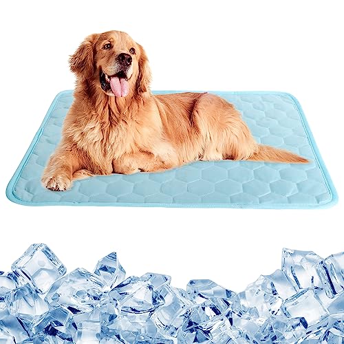 Lollanda Kühlmatte für Hunde, Kühlmatte Hund, Kühlmatte für Katzen, Kühldecke für Hunde, Hundekühlmatte Selbstkühlend für Sofa, Hundebett, Auto, Schlafplätze für Hunde (70X55CM, Blue) von Lollanda