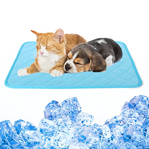 Lollanda Kühlmatte für Hunde und Katze 70 x 55CM, Selbstkühlende Matte Hunde Katzen, Haustier Kühlmatte Selbstkühlende, Kühlmatte Hunde Katzen für Sommer (L, Blau) von Lollanda