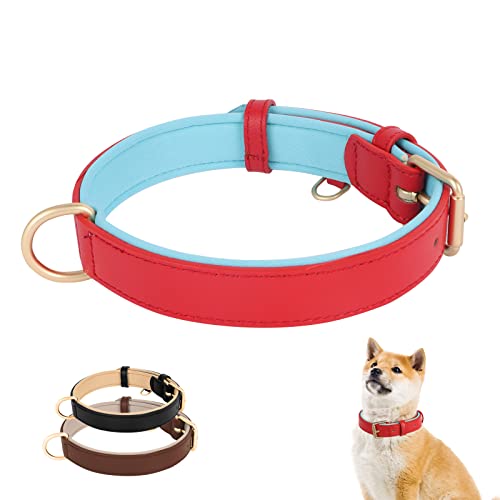 Lollanda Hundehalsband Gepolstert aus Leder, Strapazierfähiges Halsband Echtes Leder für Hund, Verstellbar Hundehalsbänder mit Gepolstert für Welpen Mittlere Kleine Hunde (M, Rot) von Lollanda