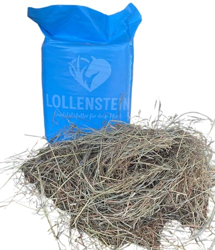 Lollenstein Ansaatheulage 2. Schnitt, Wiesenlieschgras, 17 kg Ballen, für Pferde Aller Altersstufen von Lollenstein