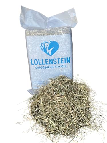Lollenstein Wiesenheu 1. Schnitt Kleinballen - 12 Kg von Lollenstein
