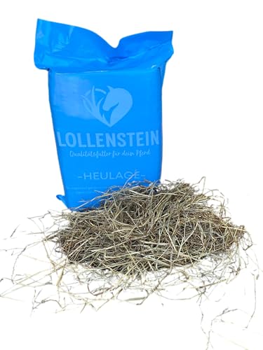 Lollenstein feuchte Ansaatheulage 1. Schnitt Kleinballen - 18 Kg von Lollenstein