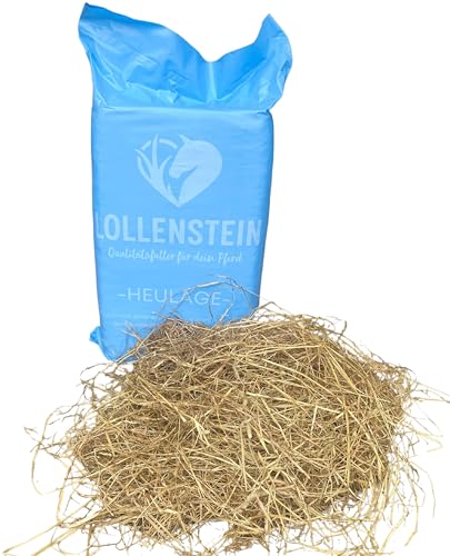 Lollenstein feuchtere fruktanreduzierte Ansaatheulage 1. Schnitt, 18 kg Ballen von Lollenstein