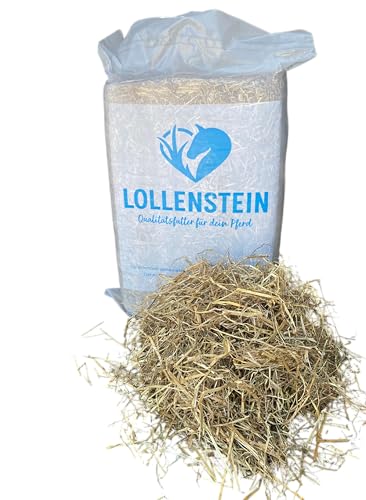 Lollenstein fruktanarmes Ansaatheu 1. Schnitt Kleinballen - 12 Kg von Lollenstein