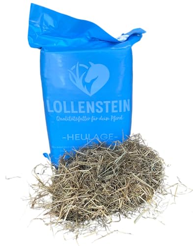 Lollenstein trockene Ansaatheulage 1. Schnitt Einzelballen - 14 Kg von Lollenstein