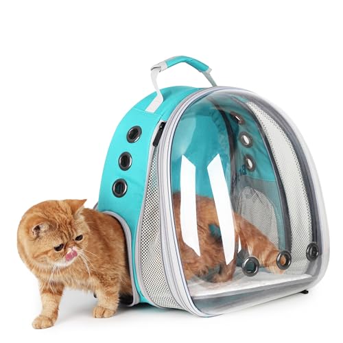 Lollimeow HaustierRucksack, Bubble-KatzenRucksack, Katzen und Hunde, von Fluggesellschaften zugelassen, für Reisen, Wandern, Spazierengehen und den Einsatz im Freien, vorne erweiterbar, grün Lollimeow HaustierRucksack, Bubble-KatzenRucksack, Katzen und Hunde, von Fluggesellschaften zugelassen, für Reisen, Wandern, Spazierengehen und den Einsatz im Freien, vorne erweiterbar, grün von Lollimeow